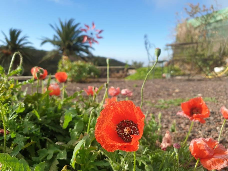 Casa Tara Ruhe Und Entspannung, Natur Pur Acardece Bagian luar foto