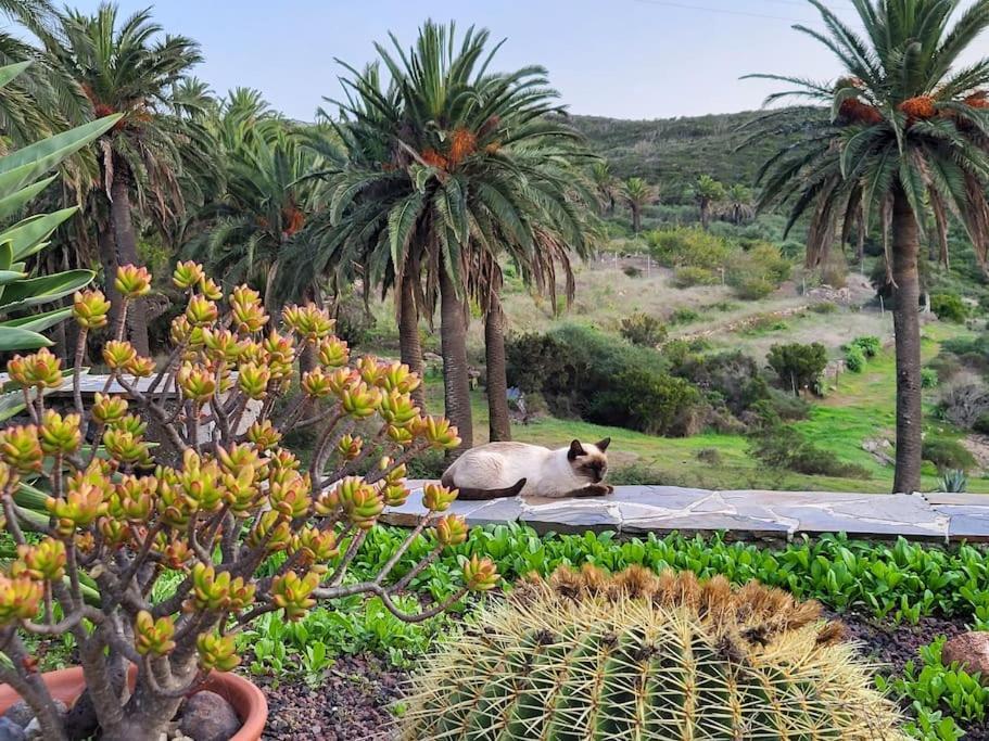 Casa Tara Ruhe Und Entspannung, Natur Pur Acardece Bagian luar foto