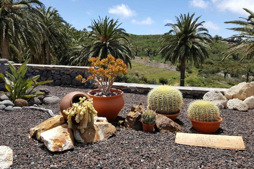 Casa Tara Ruhe Und Entspannung, Natur Pur Acardece Bagian luar foto
